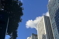 開曼公司年審全攻略：流程詳解、資料清單