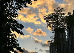 巴基斯坦公司注銷核心環節全解析